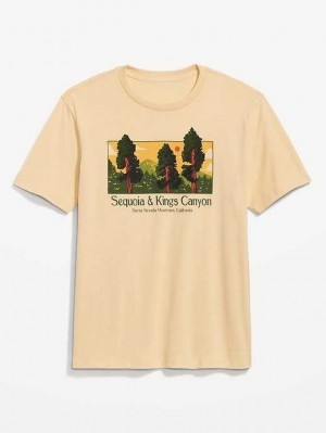 T Shirts Old Navy Soft-Washed Graphique T-Shirt Homme Multicolore | 738-VPWEJZ